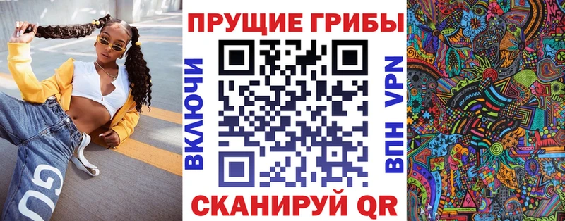 Псилоцибиновые грибы Psilocybine cubensis  закладки  Ленинск-Кузнецкий 